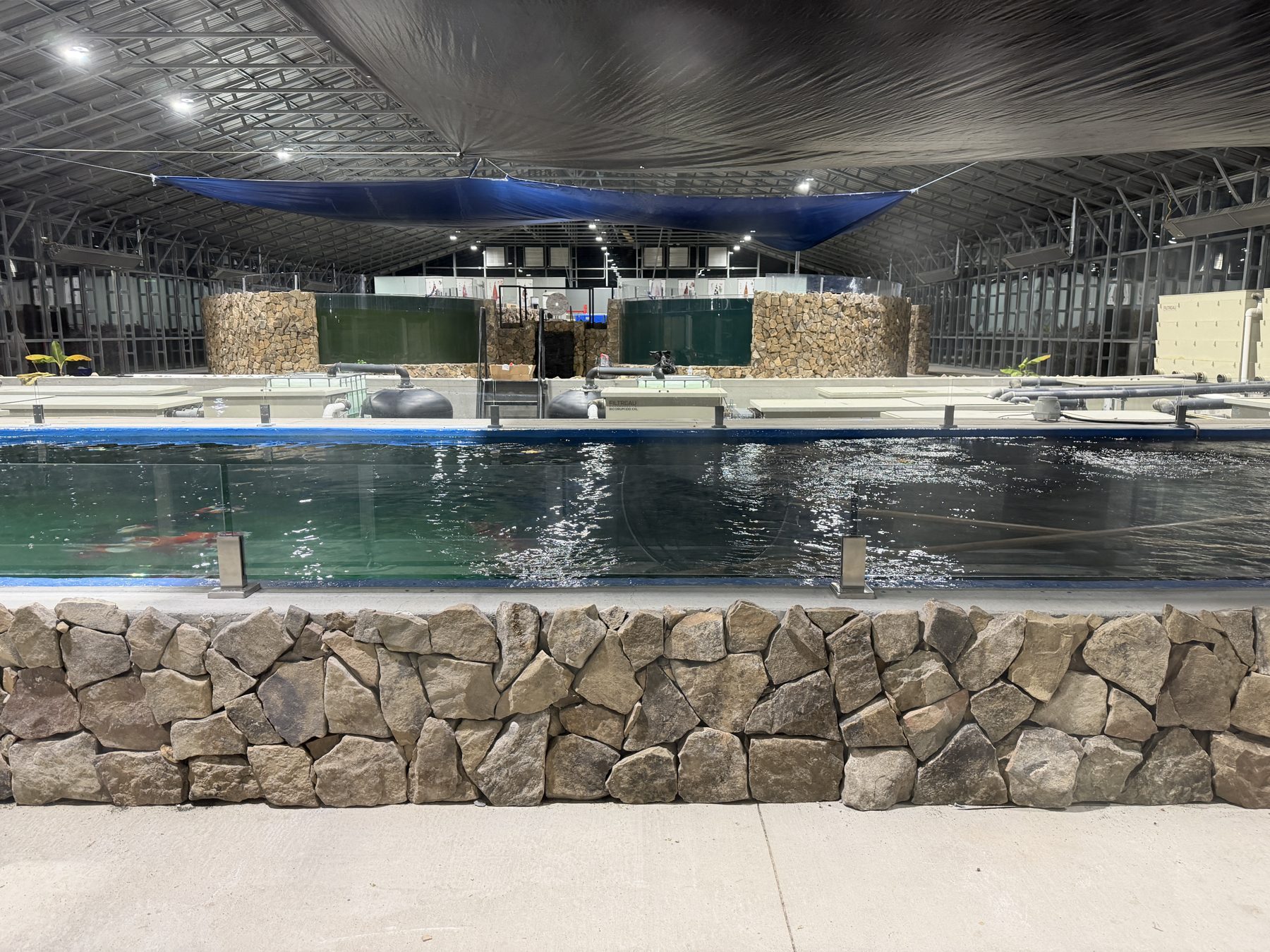 Large indoor koi pond inside a greenhouse built for Herbert Fritch