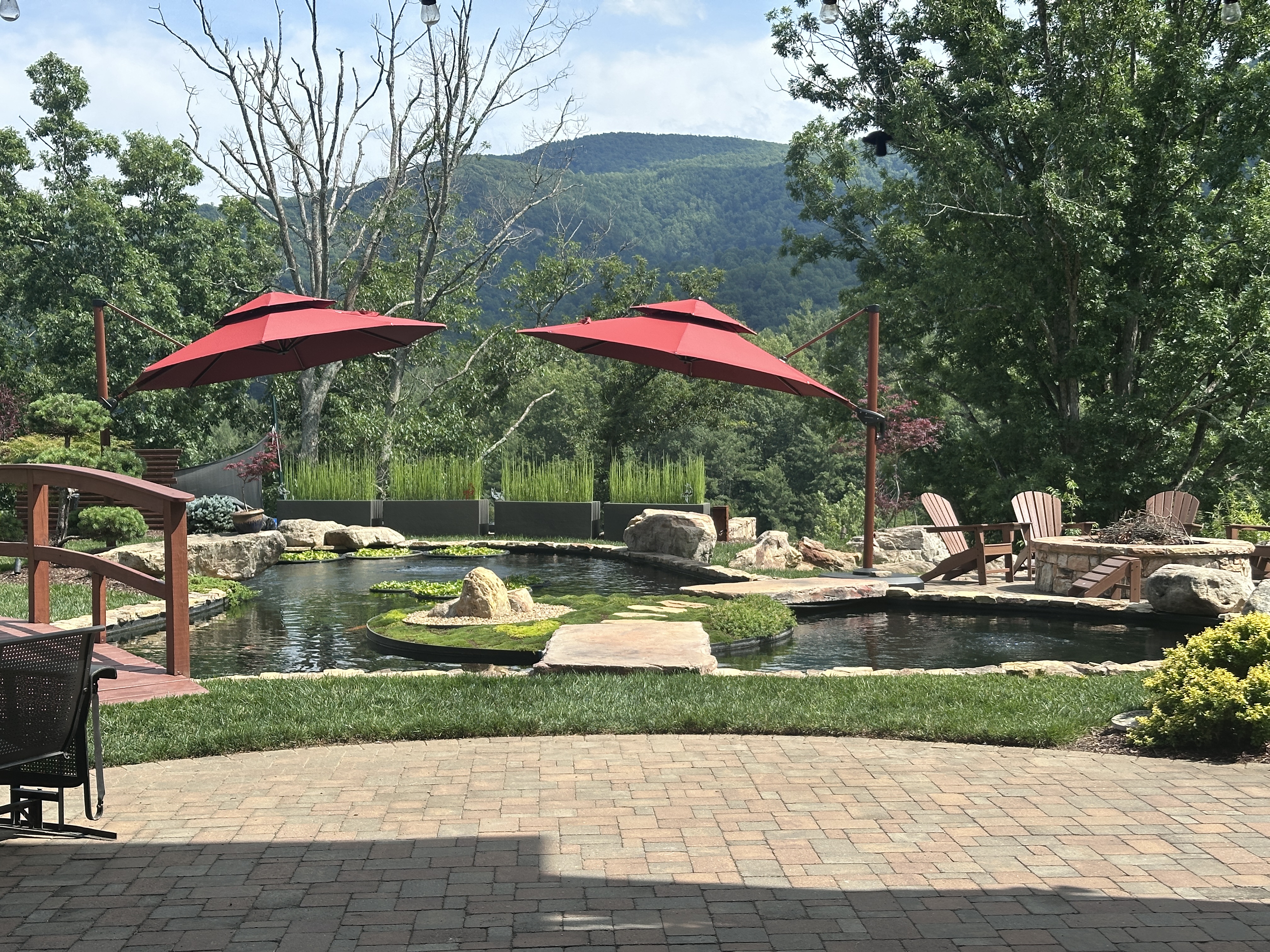 Koi pond with mountain backdrop
