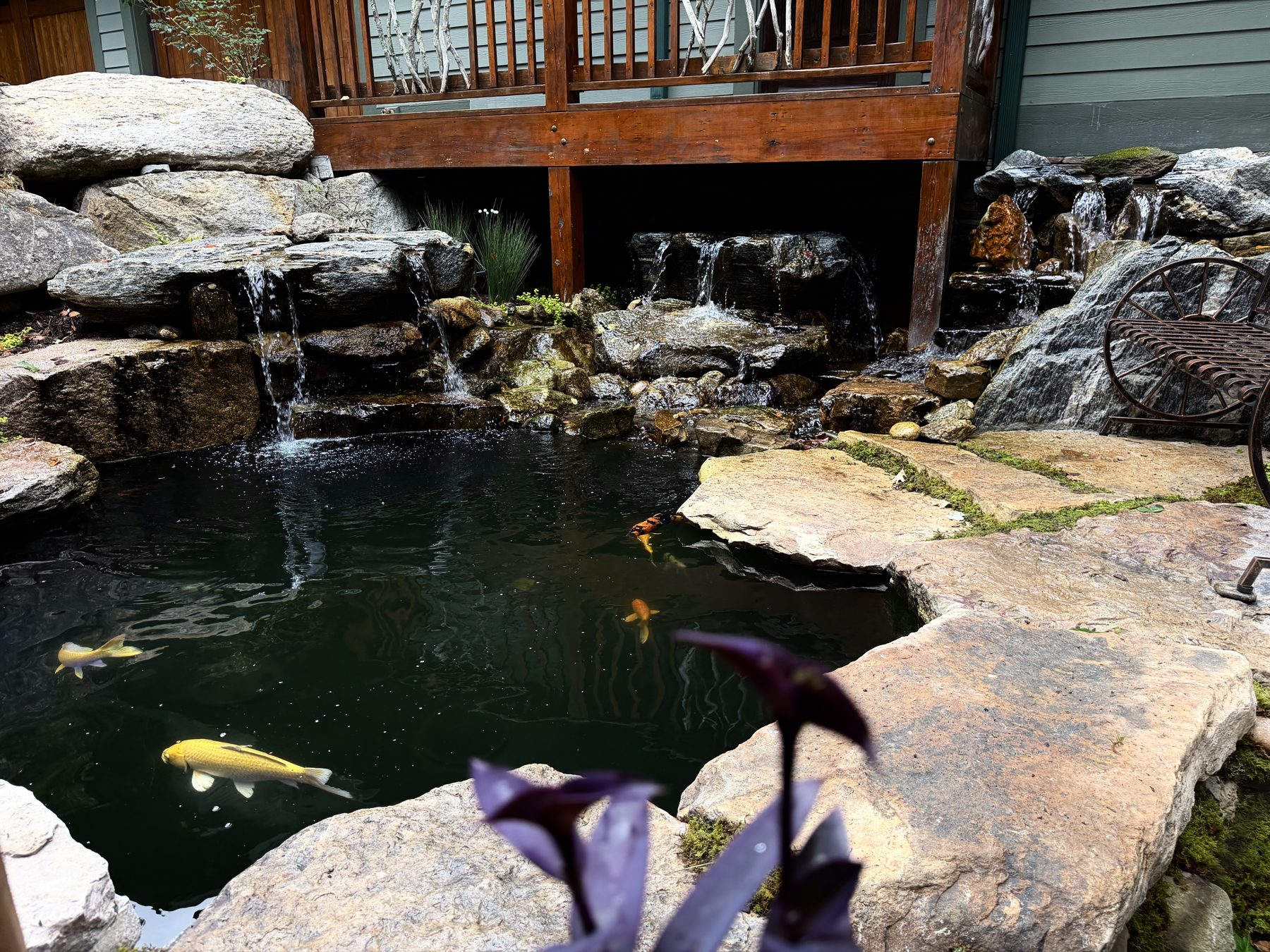 Koi swimming below a multi-tier natural rock waterfall